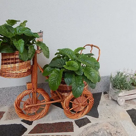 Apartments&rooms Marinka
