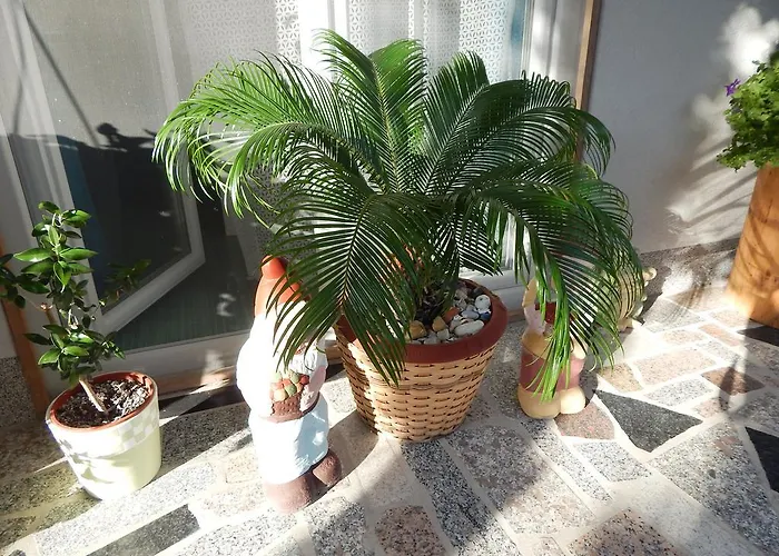 & Marinka Appartamento Zara