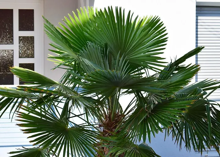 Appartamento & Marinka