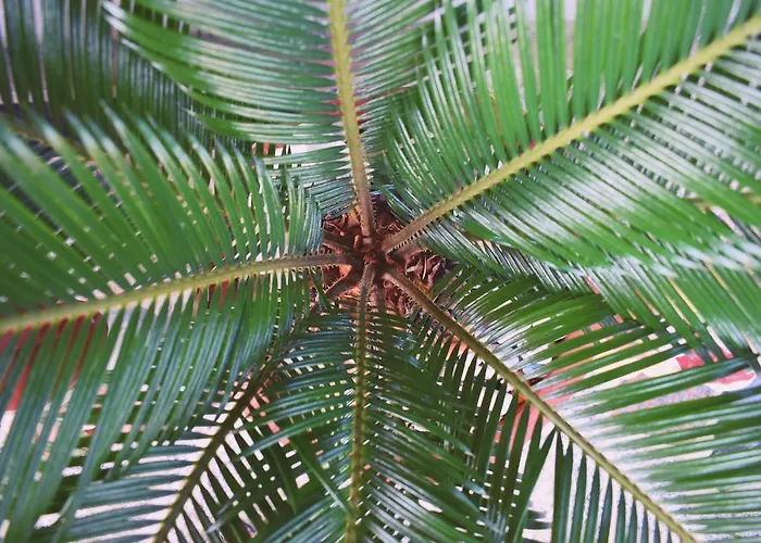 & Marinka Appartamento Zara